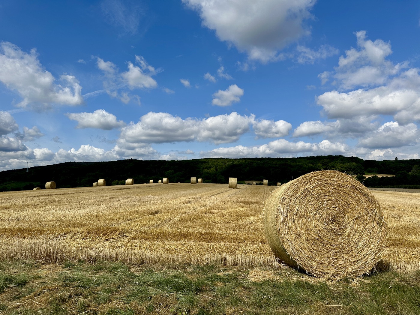 Herbst – Strohballen auf abgeerntetem Feld unter blauem Himmel