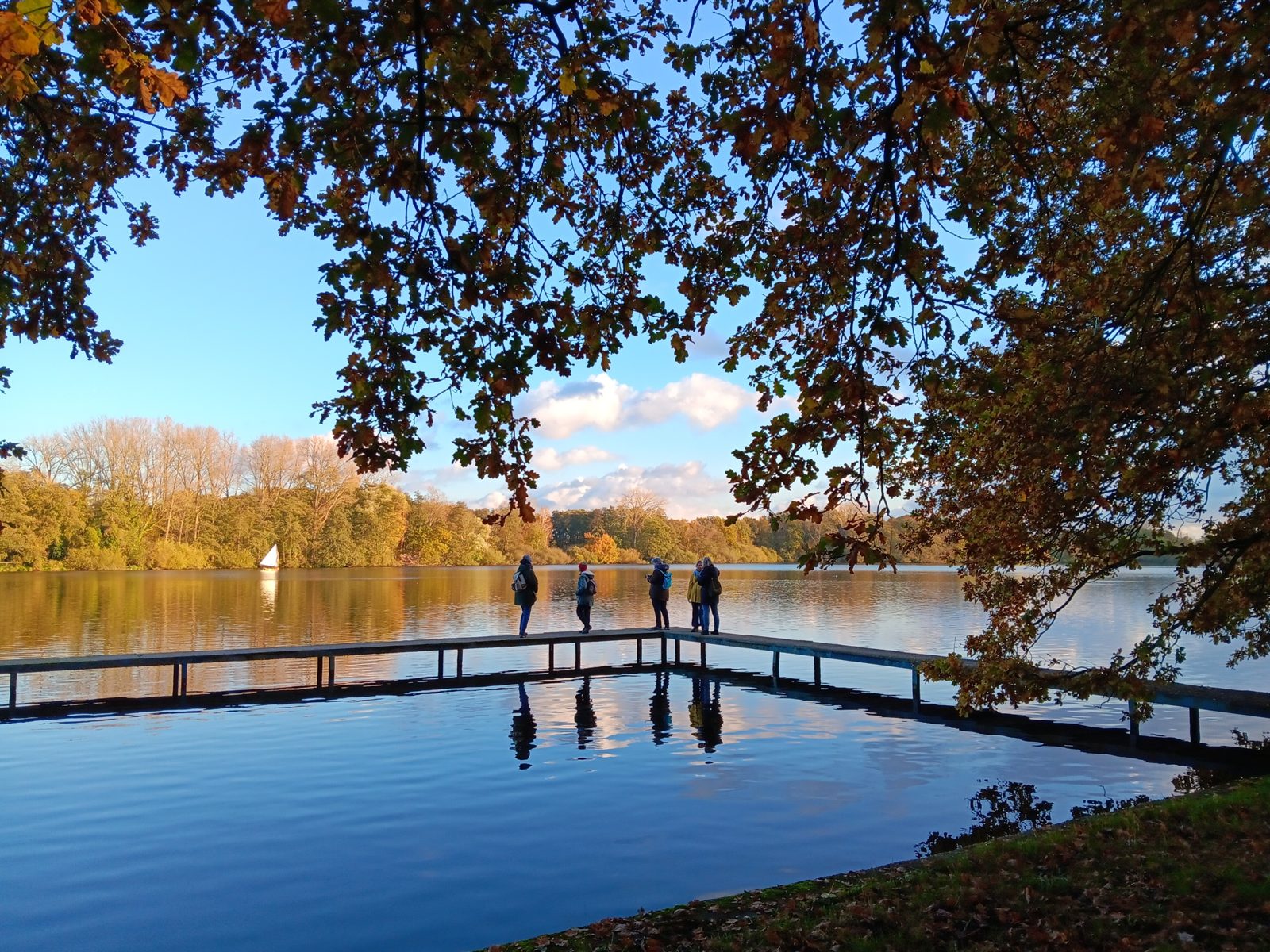 Gruppe gemeinsam am Steg über dem spiegelnden See im Nettetal