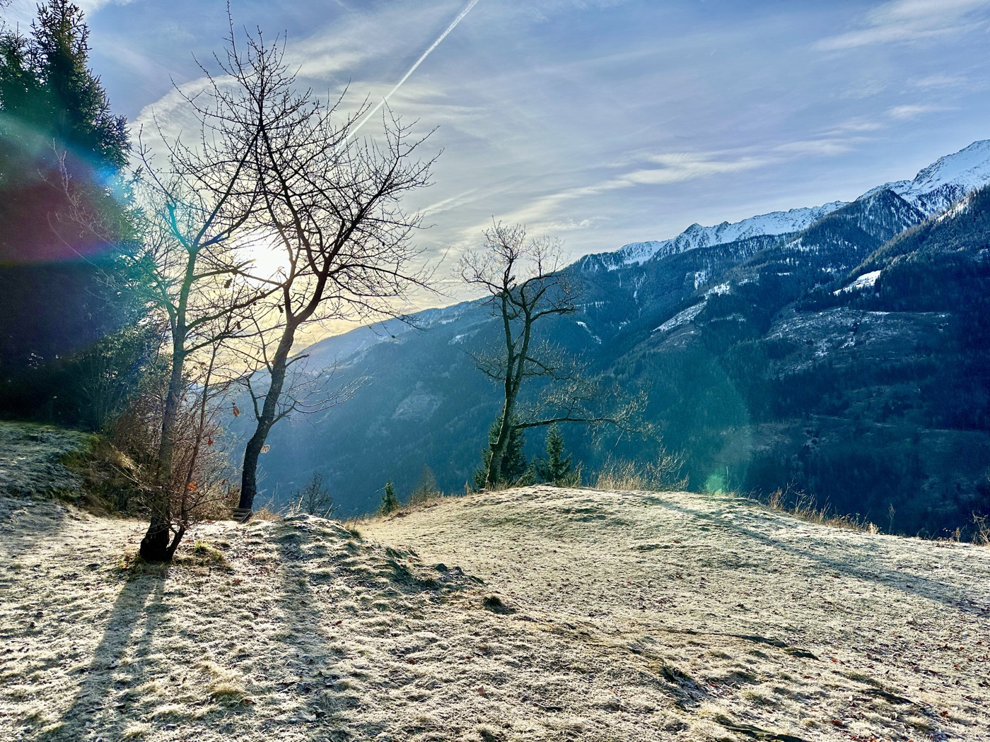Winter – kahler Baum vor verschneiter Berglandschaft