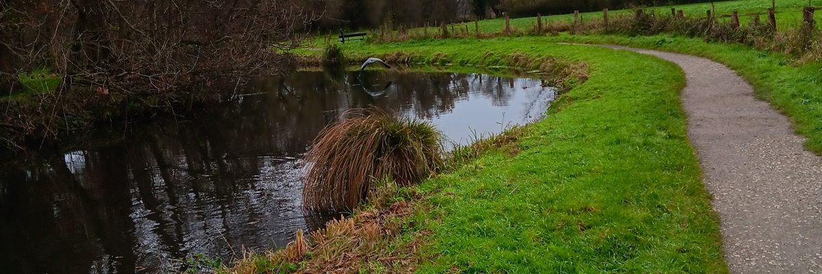 Ein Weg führt am Wasser entlang durch die Wiesen