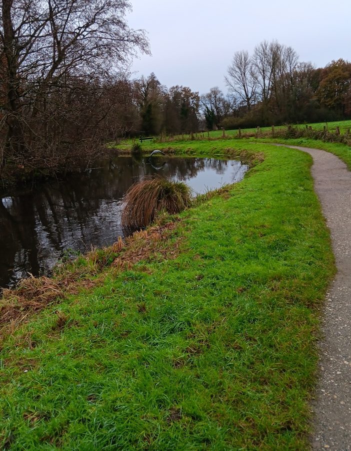 Ein Weg führt am Wasser entlang durch die Wiesen